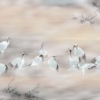 Fulfillness Wallmural - Image 2