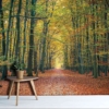 LANDSCAPE MURAL WALPAPER – CODE M877