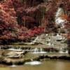 LANDSCAPE MURAL WALPAPER – CODE M874 - Image 2