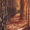 LANDSCAPE MURAL WALPAPER – CODE M879 - Image 2