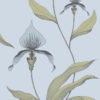 ORCHID - Image 4