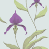 ORCHID - Image 6