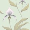 ORCHID - Image 8