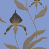 ORCHID - Image 10