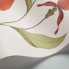 ORCHID - Image 15