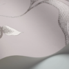 ORCHID - Image 17