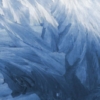 Feathers Mural – Premium - Image 2