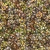 Big Bloom, amber Wallmural – Premium - Image 2
