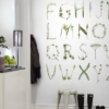 ABC for the spelling bee Wallmural – Premium