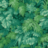ROYAL FERNERY - Image 4