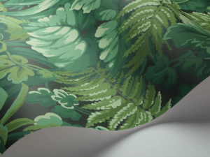 ROYAL FERNERY - Image 5