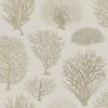 Seafern Brown - Image 3