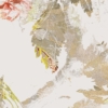 Golden Feathers Wallmural - Image 6