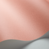 CORAL - Image 32